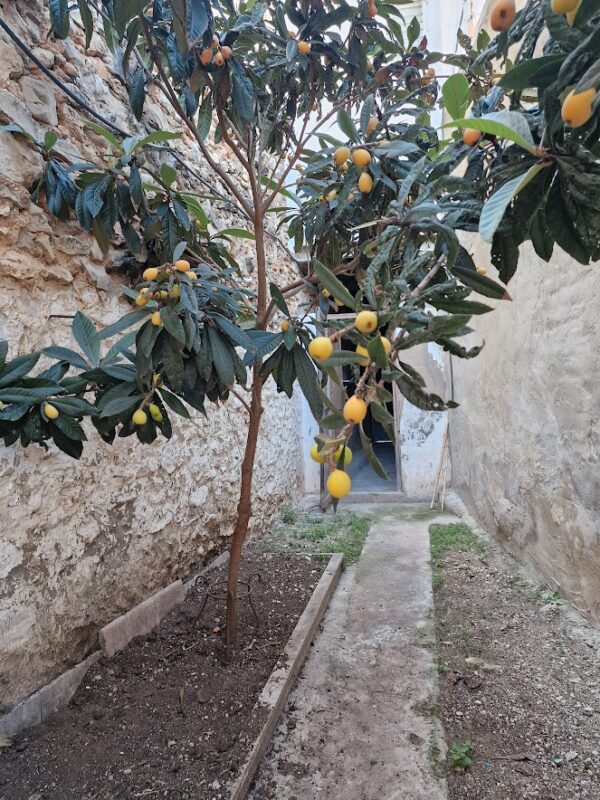Gran Casa para Reformar en Beniopa, Gandia - Imagen 15